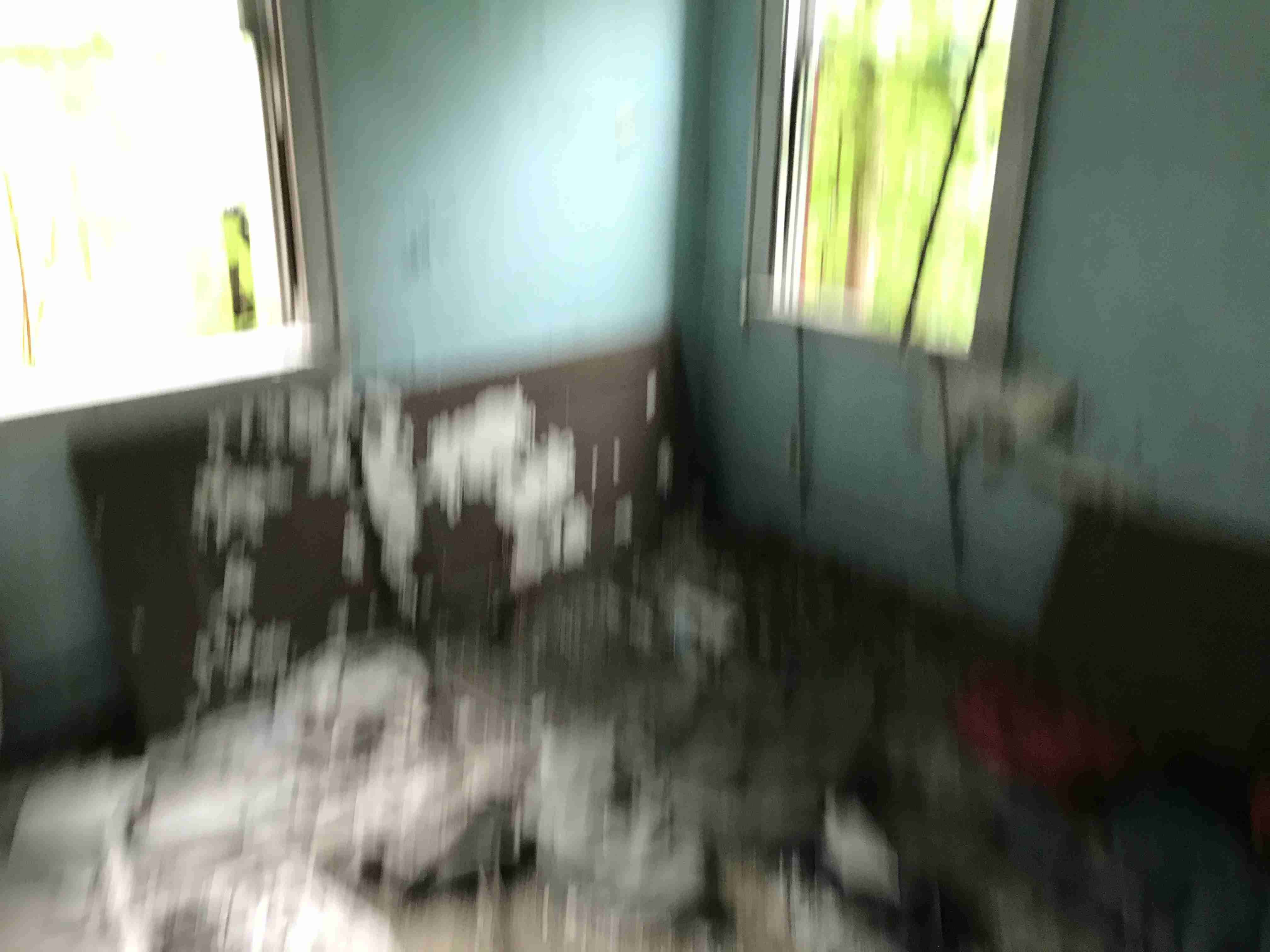 Photo Sep 09, 11 11 06 AM.jpg